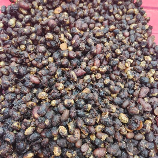 平陆县豆豉，豆酱