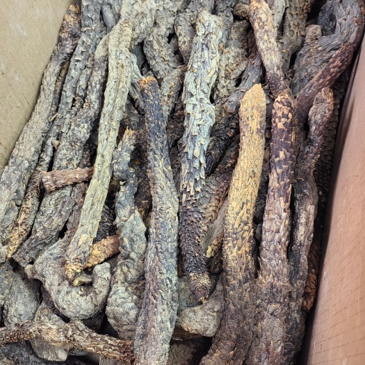 昆明苁蓉