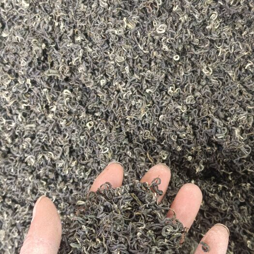 独山县各种档次绿茶