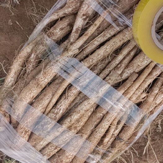 寻甸县新鲜货，品质没得说，药食两用