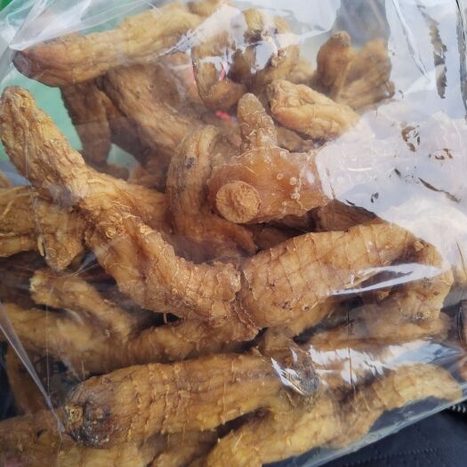 霍山县多花甜黄精  多花姜形黄精  黄精