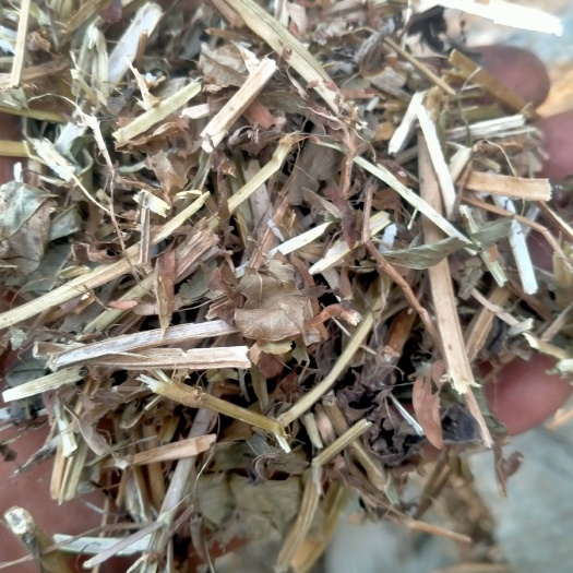 枣阳市花生秧