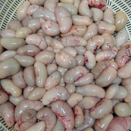 南宁青脚鸡鸡腰子