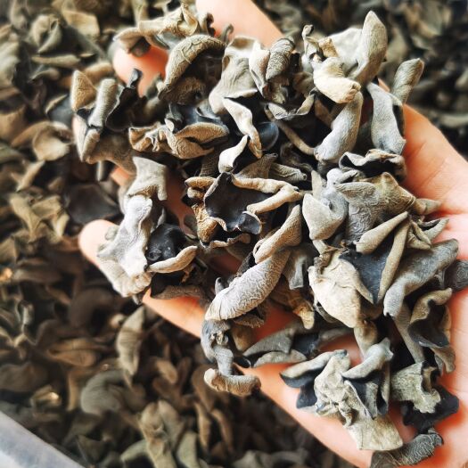 鲁山县产地直发，地道东北秋耳，肉厚无根，朵型完整，量大价优