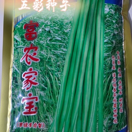 江西豆角种子  长豇豆种子 植株蔓生 莢翠绿色 现货400克