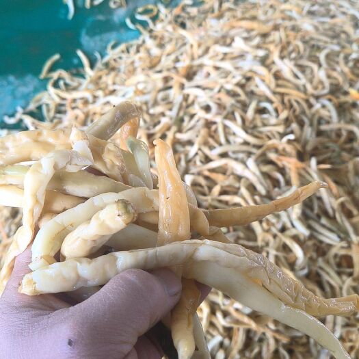 成武县腌制卜豆角干豆角干辣椒