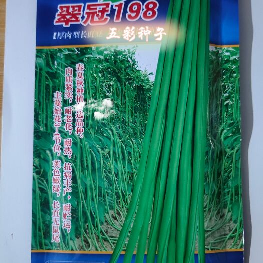 豆角种子长豇豆种子 荚色嫩绿 现货直发 每袋200克