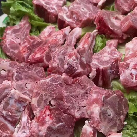 郑州羔羊满肉羊蝎子.口感好.肉质鲜嫩