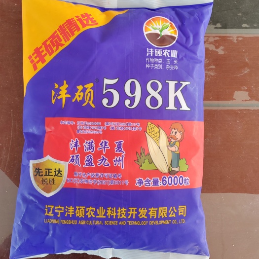 沣硕598K玉米种子6000粒辽宁沣硕农业
