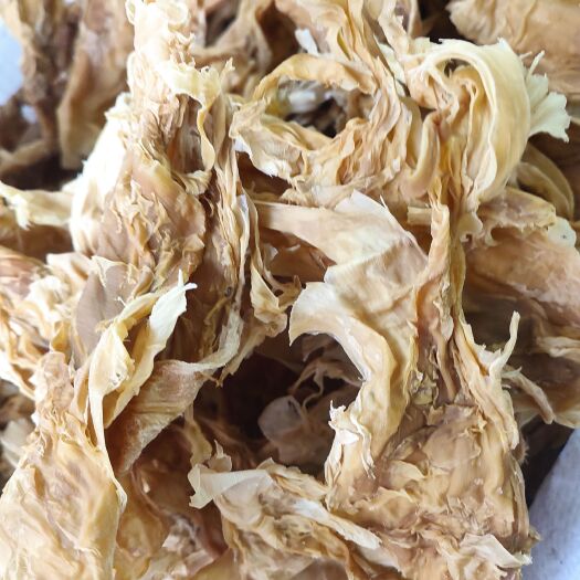 英德市麻竹笋 笋花
