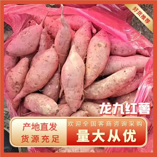 鹿邑县精品龙九红薯，产地直销，货源充足