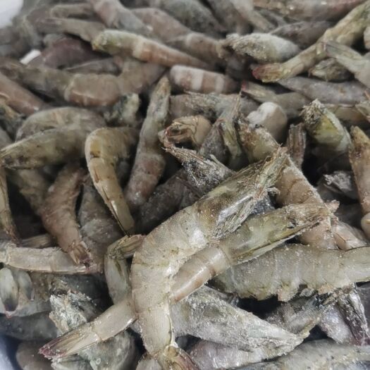 魏县对虾