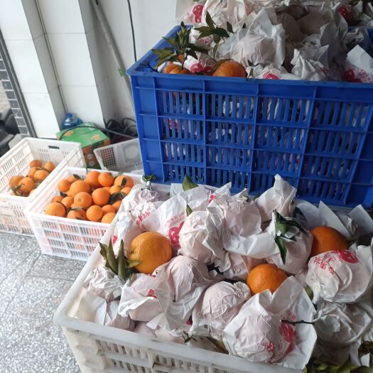 忠县耙耙柑