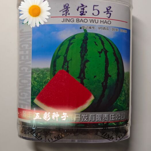 黑龙江景丰农业景宝5号西瓜种子 果实圆形 瓜瓤大红色 现货