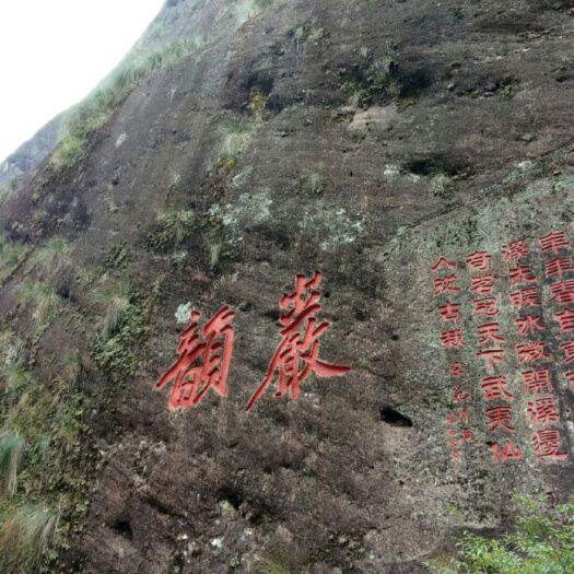 武夷山市大红袍