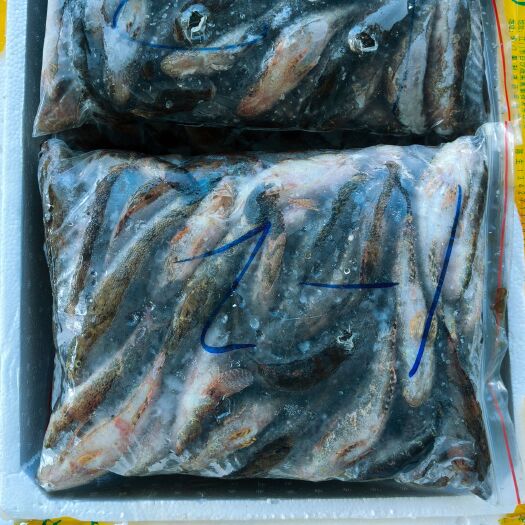 东方市冰鱼笋壳鱼，木头鱼，沙丰鱼