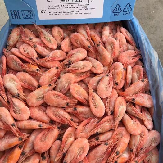 大连北极虾无黑头，今年11月份虾
