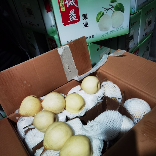 水晶梨，雪花梨，皇冠梨，秋月梨，红香酥，玉露香梨等，货源充足