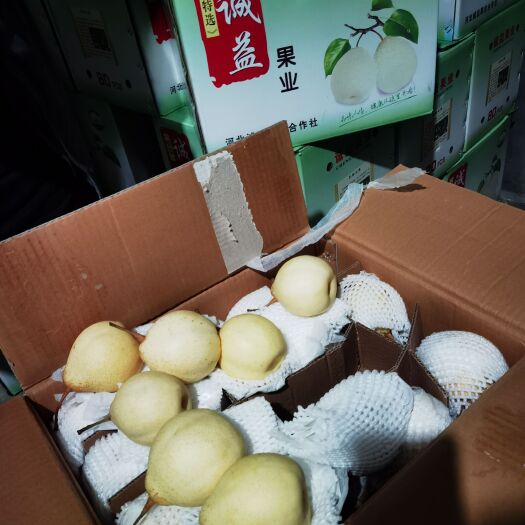 赵县水晶梨，雪花梨，皇冠梨，秋月梨，红香酥，玉露香梨等，货源充足