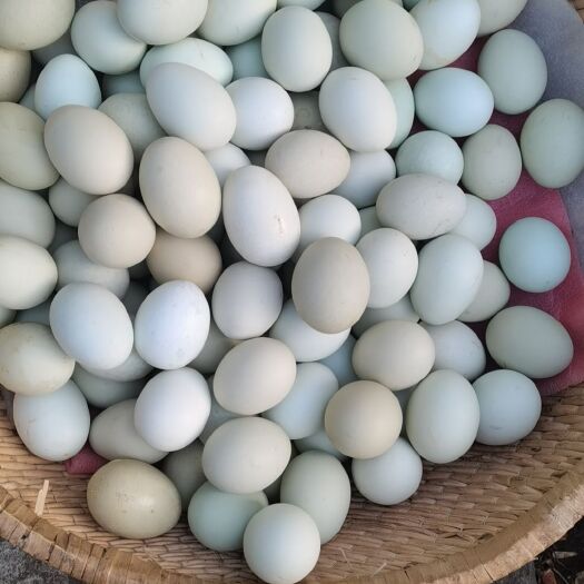 葫芦岛乌鸡蛋