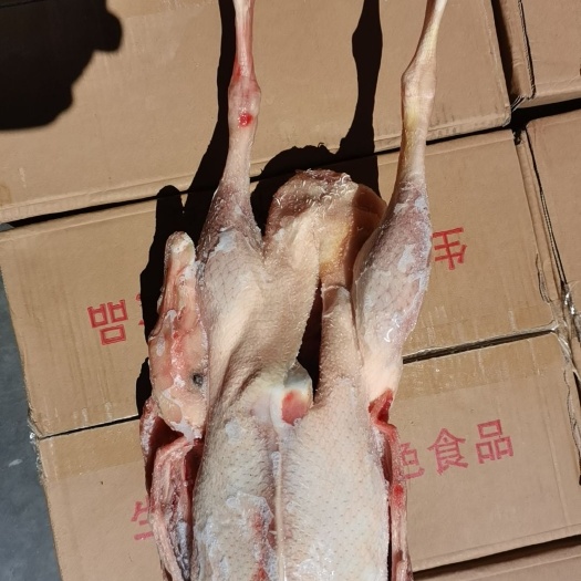 成都冻大鹅，卤鹅，烧鹅专用