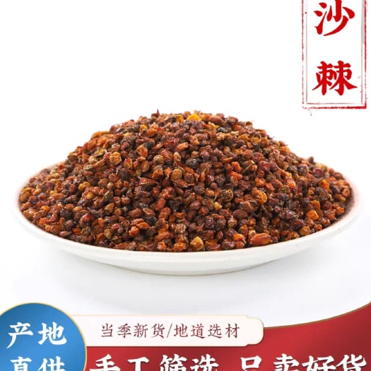沙棘 沙棘果干 无硫磺 现货批发 规划齐全 闪电发货