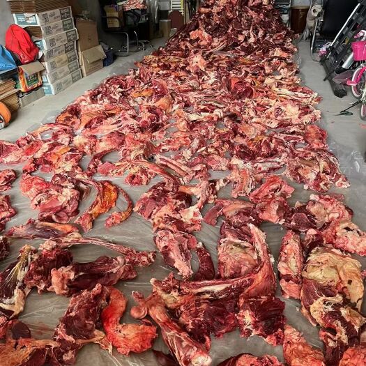 阿旗草原纯纯黄膘牛肉
