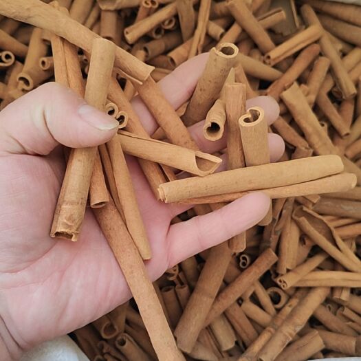烟桂  干货手选烟桂  欢迎选购！