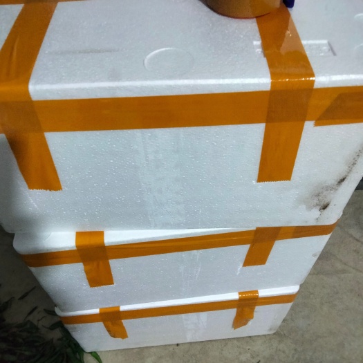 钦州湖南特色生态原种港椒