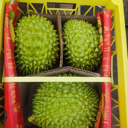 昆明干尧
