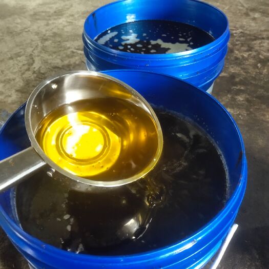 蓝山县本地老树山茶油，品质看得见