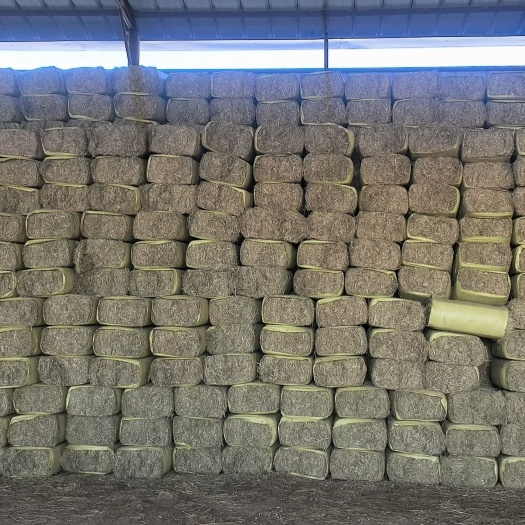 调兵山市羊草碱草柔丝小包，高蛋白饲草