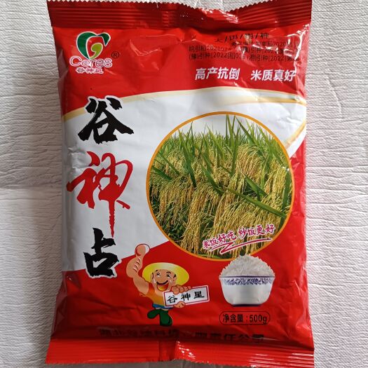 萧县谷神占 500克 高产抗倒米质真好 大田用种