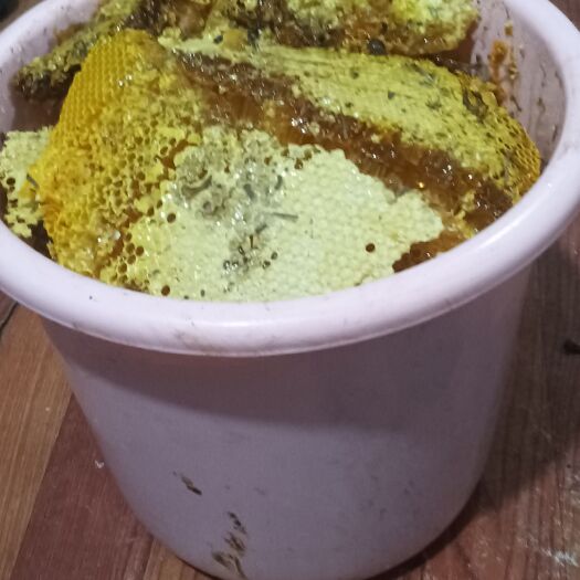 宁波纯野生蜂蜜，