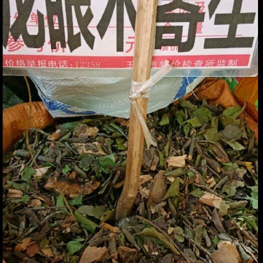 桑树寄生，黄皮树寄生，金樱子树寄生，各种寄生