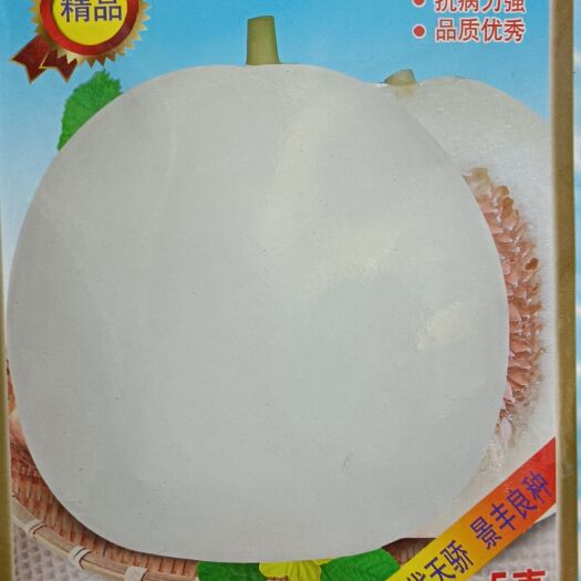 商丘景甜209甜瓜种籽