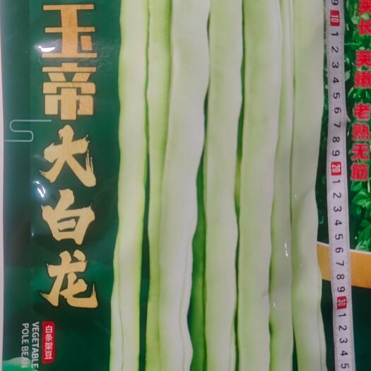 宜城市架豆角种子 大白龙架豆种子 嫩荚白绿色 蔓生 现货 200克