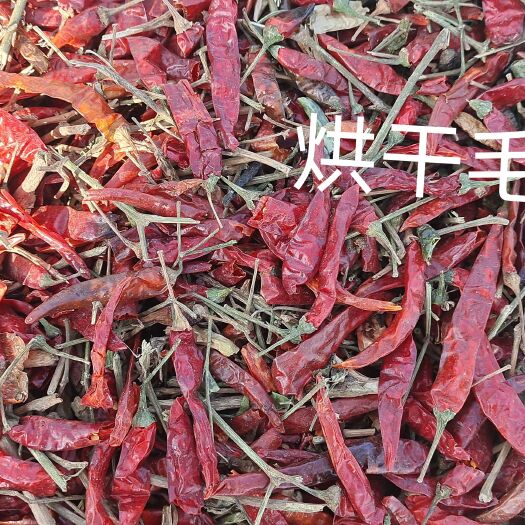 昌吉市石辣六号