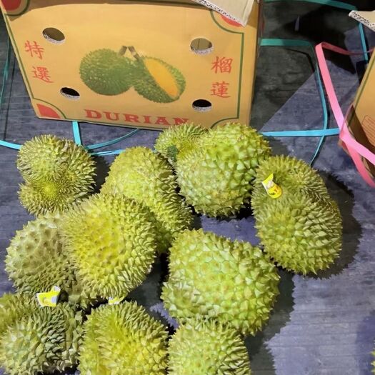 南宁巴掌榴莲