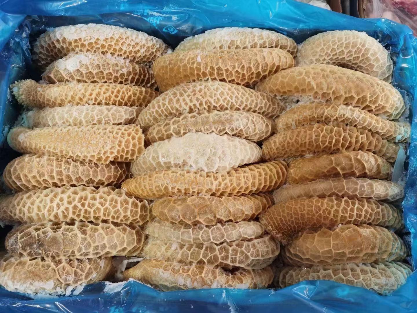 国产牛肚.金钱肚.全熟牛肚.开箱实拍.全国发货