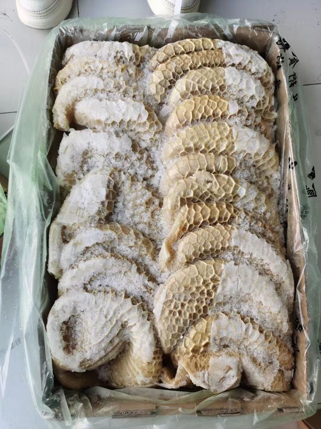 国产牛肚.金钱肚.全熟牛肚.开箱实拍.全国发货