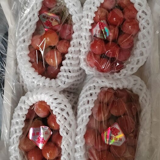 晋州市妮娜皇后葡萄葡萄中的爱马仕拥有草莓和荔枝的果香