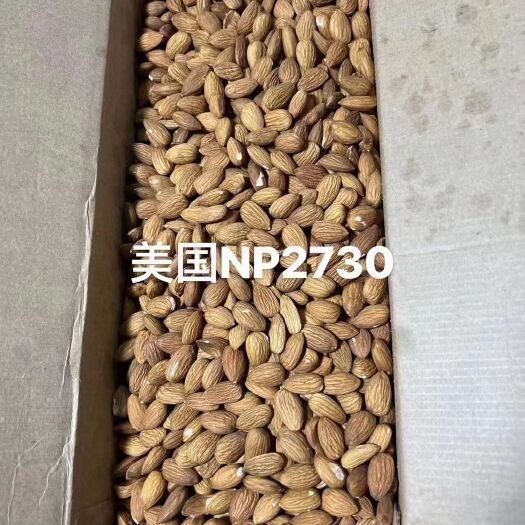 漳州美国npx巴旦木  佳美巴旦木，源头厂家可以定制。欢迎询价
