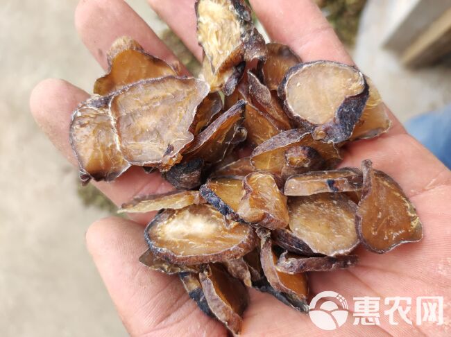 附 片 生片 炮片 制片 各种规格 欢迎下单