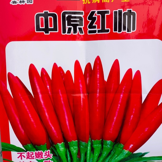 尉氏县辣椒种子朝天椒种子抗病扛倒型，焰红，干鲜两用
