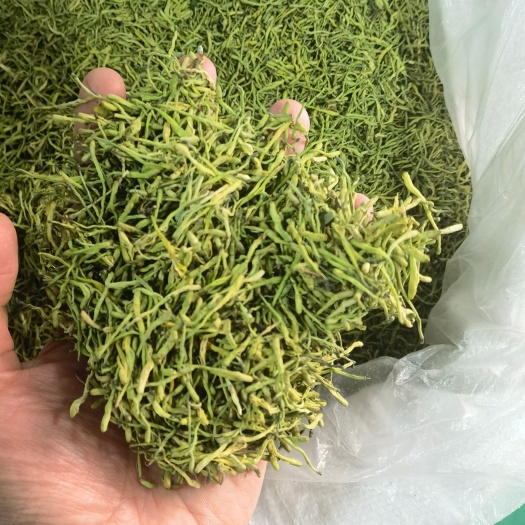 西安金银花