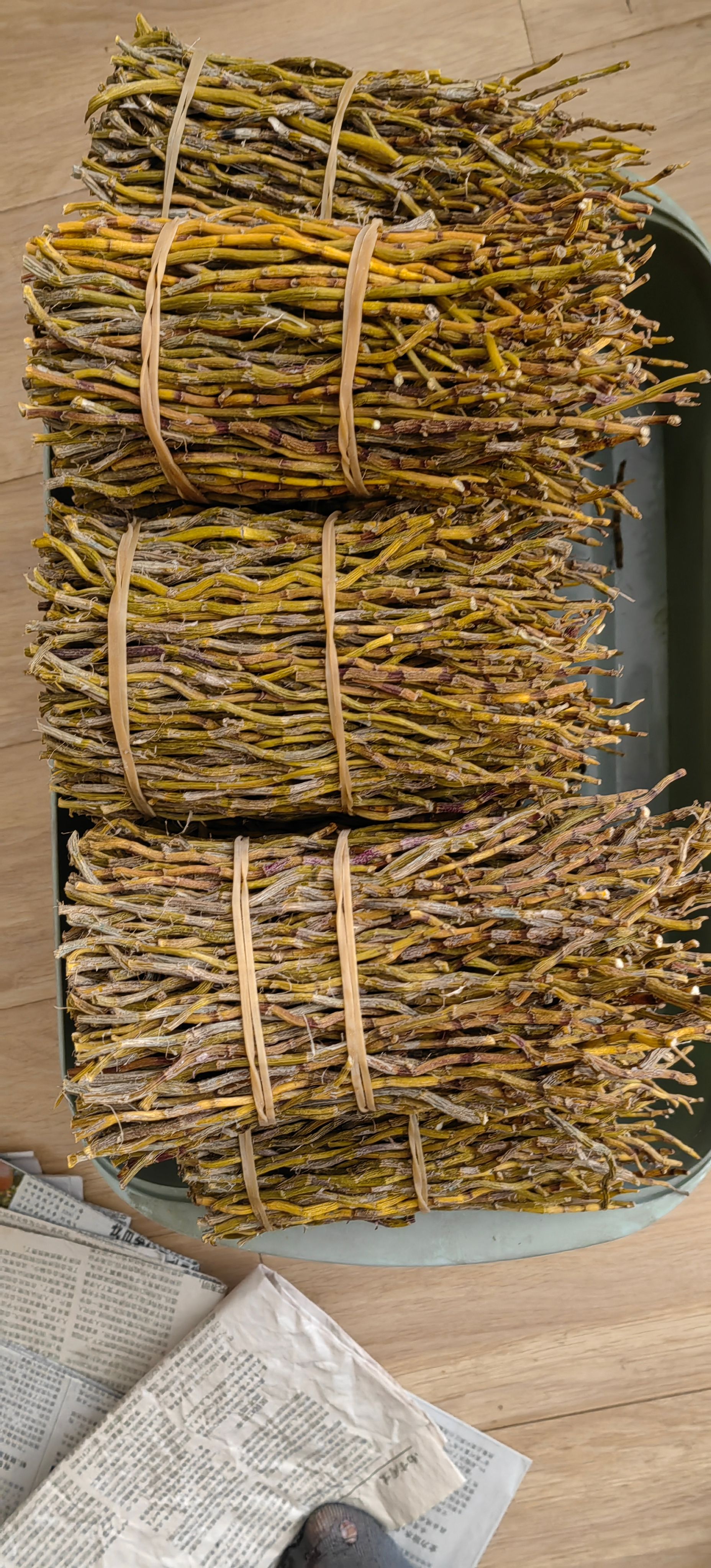 铁皮铁皮石斛寸条 烤条 牙牙条 自产自销  基地直发