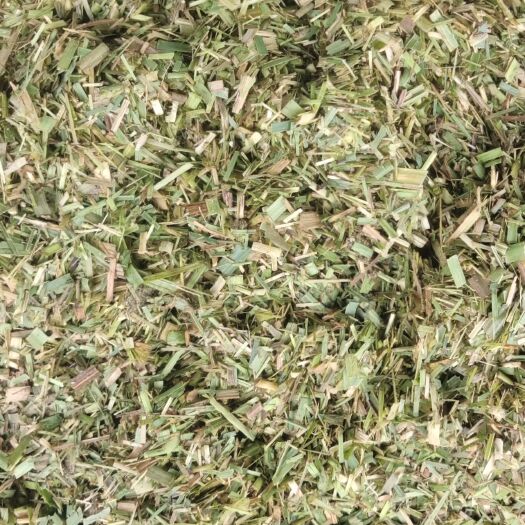 柳州长期供应青储饲料