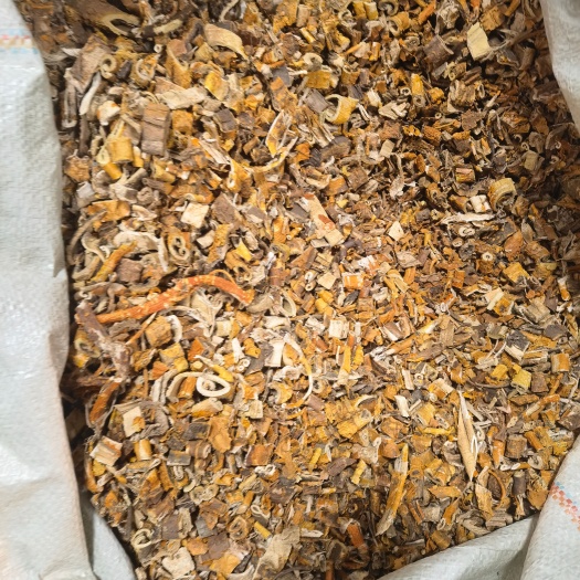 西安桑皮
