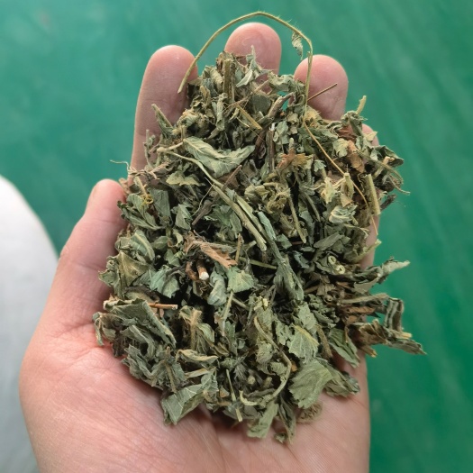 西安仙鹤草